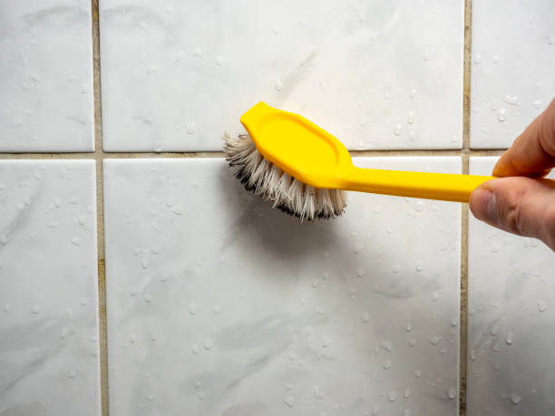Best Same-Day Mold Removal  in Bethel Rk, PA
