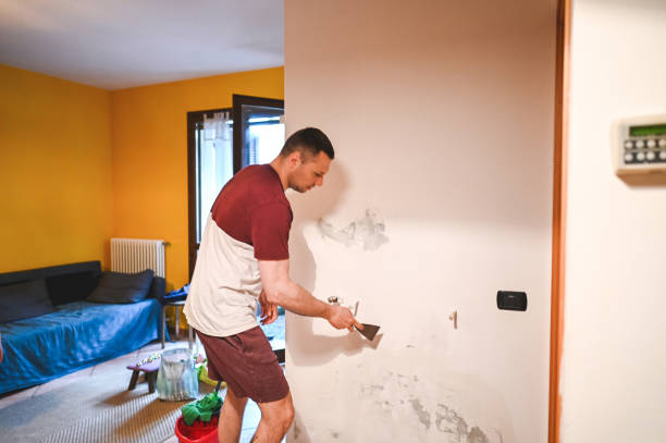 Best Crawl Space Mold Removal  in Bethel Rk, PA