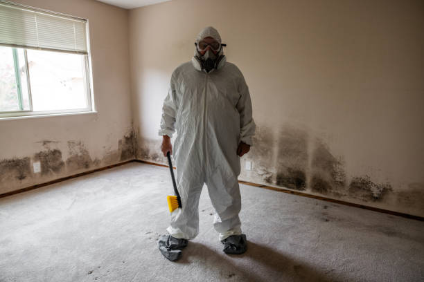 Best Professional Mold Removal  in Bethel Rk, PA